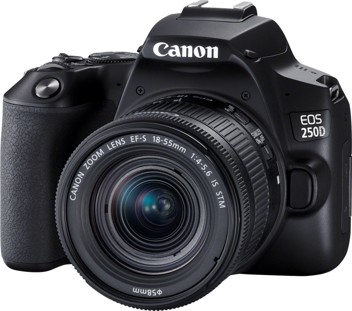 Canon EOS 250D Kit m/ EF-S 18-55mm F4-5.6 IS STM