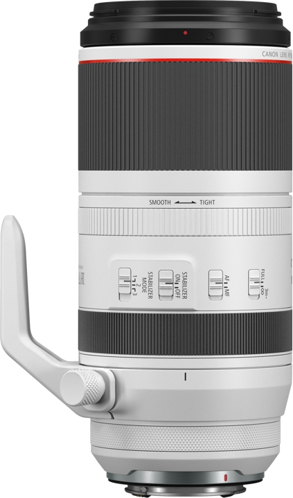 Canon RF 100-500mm F4.5-7.1 L IS USM