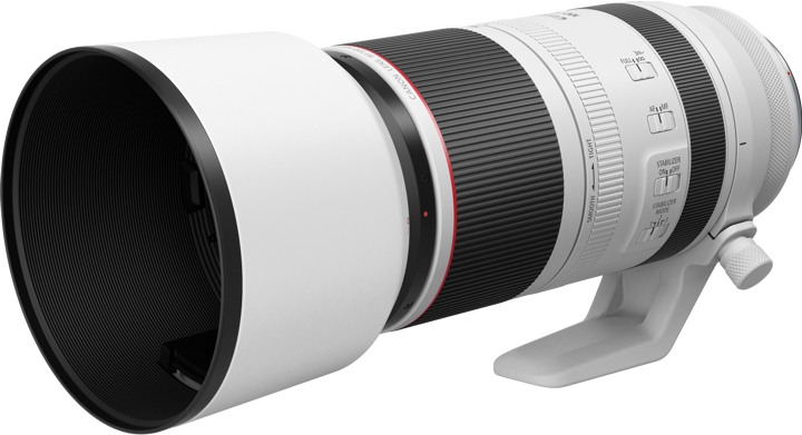 Canon RF 100-500mm F4.5-7.1 L IS USM